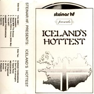 icelands-hottest-thu-og-eg