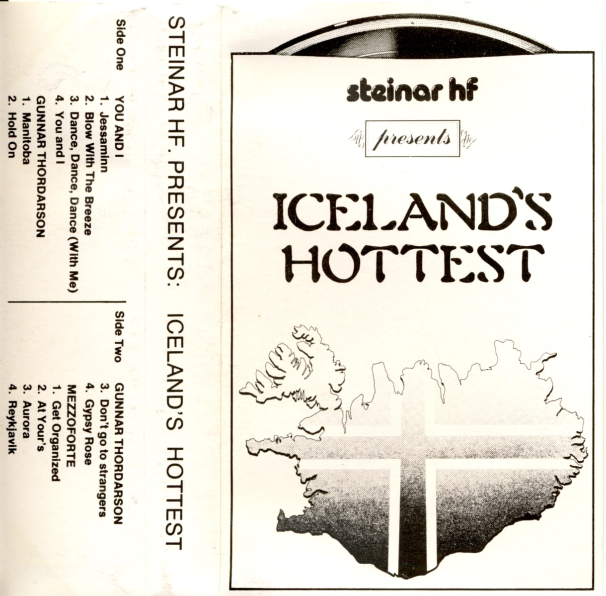 icelands-hottest-thu-og-eg