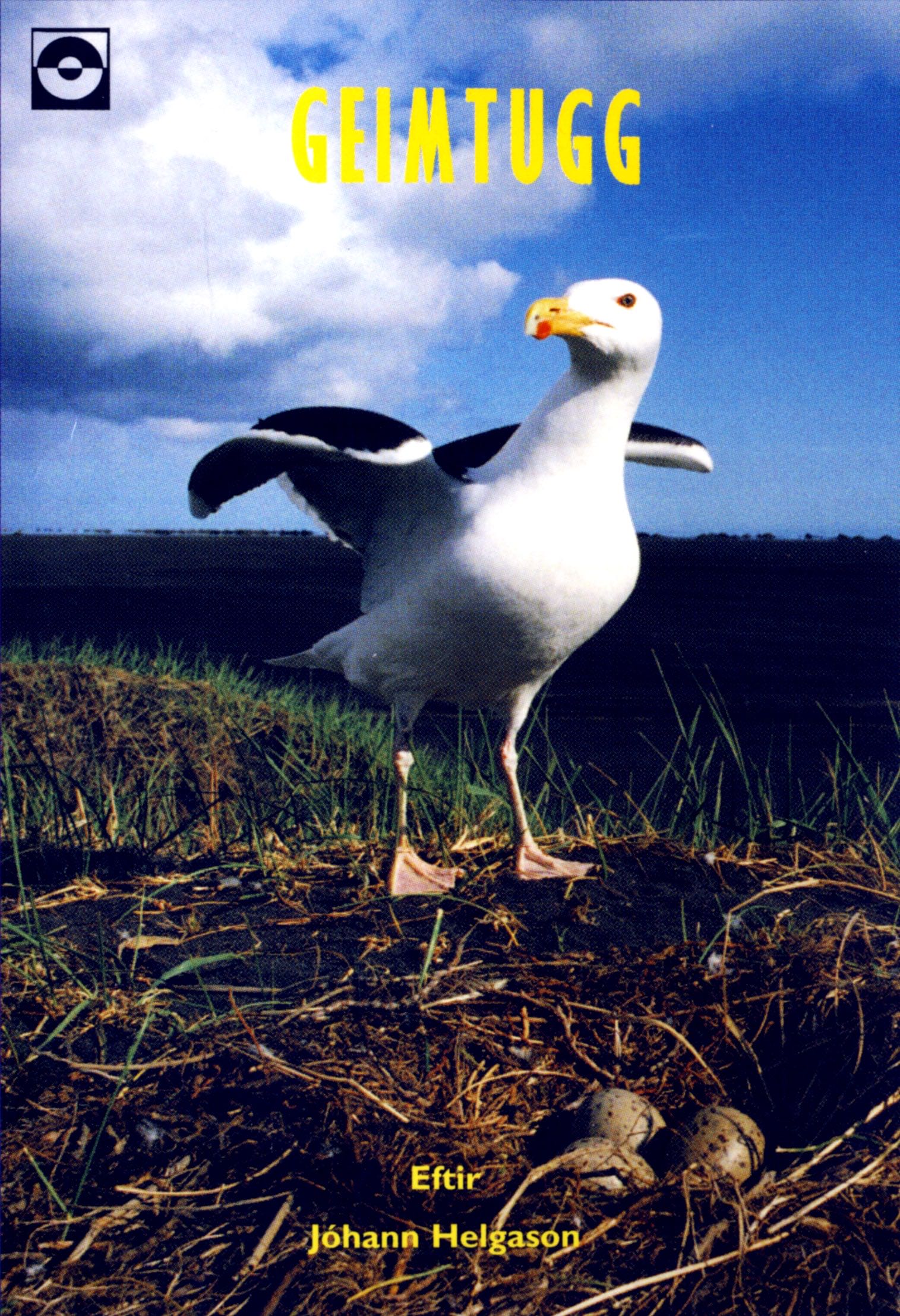 Geimtugg